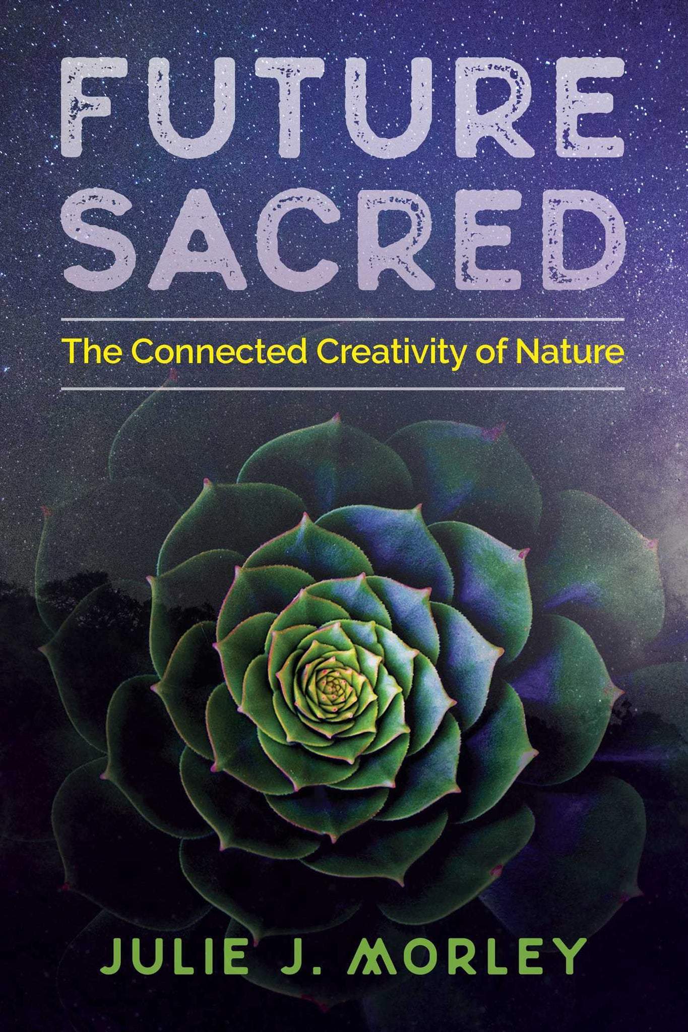 Future Sacred : La créativité connectée de la nature | Livre