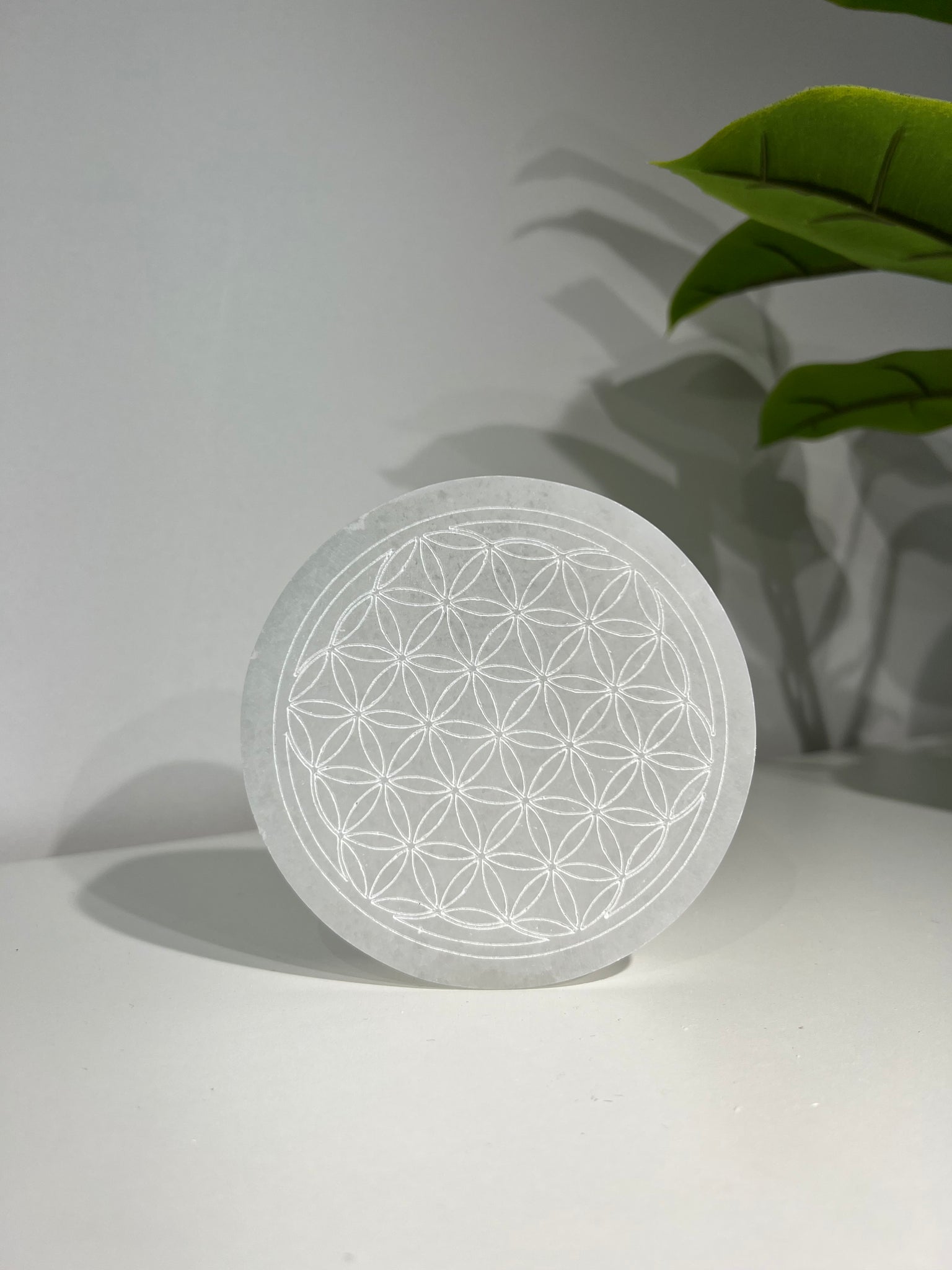 Selenite Disc  |  Flower of Life