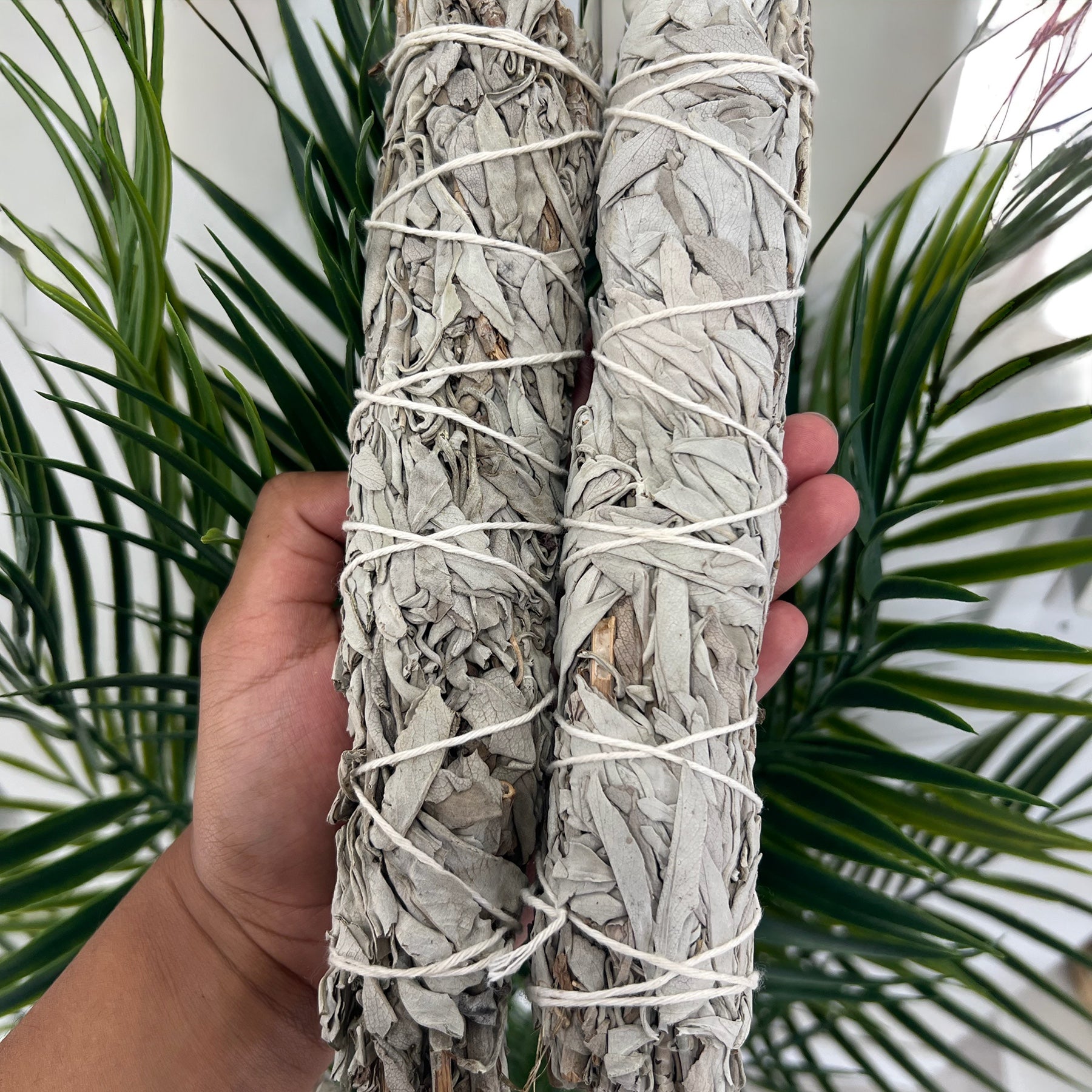 XL White Sage  |  Smudge Stick